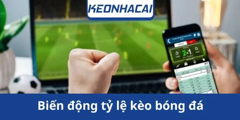 bien-dong-ty-le-keo-bong-da