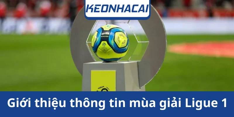 gioi-thieu-mua-giai-ligue-1