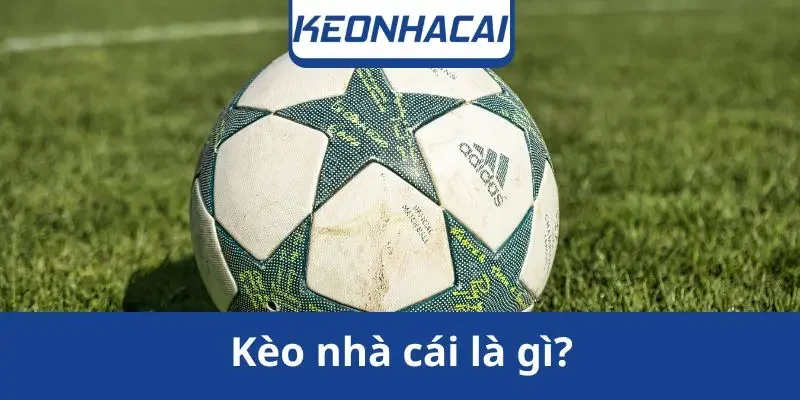 keo-nha-cai-la-gi
