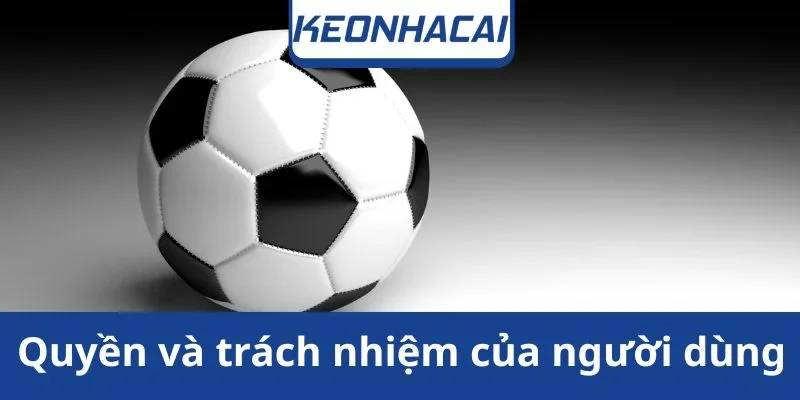 quyen-va-trach-nhiem-cua-nguoi-dung